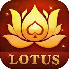 teen patti lit apk download download